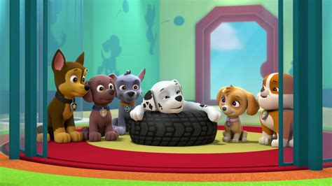 Paw Patrol Pups Save The Kitty Rescue Crew - Paw Patrol - S5E1 - Pups Save the Kitty Rescue Crew/Pups Save an